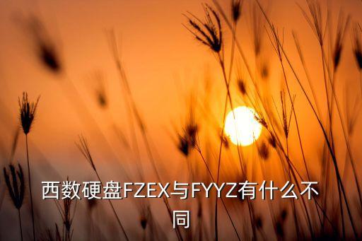 西數(shù)硬盤FZEX與FYYZ有什么不同