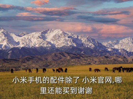  小米手機(jī)的配件除了 小米官網(wǎng),哪里還能買到謝謝