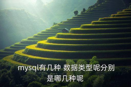  mysql有幾種 數(shù)據(jù)類型呢分別是哪幾種呢