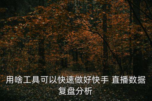 用啥工具可以快速做好快手 直播數據復盤分析
