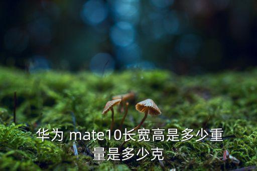 華為mate10數據
