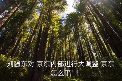 京東大數(shù)據(jù) 裴健