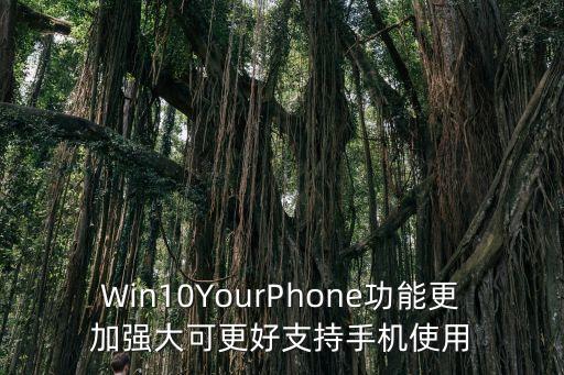 windows phone運(yùn)動(dòng)數(shù)據(jù)