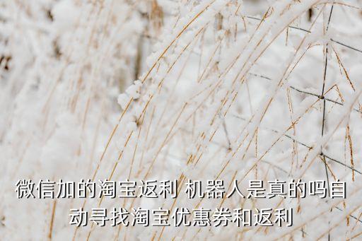 省錢網(wǎng)機(jī)器人,淘寶省錢機(jī)器人可靠嗎