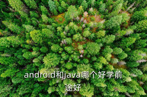 android和java哪個(gè)好學(xué)前途好