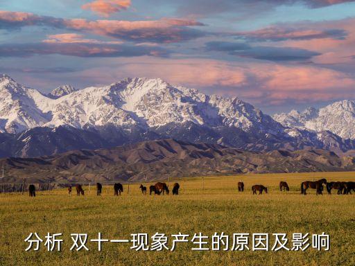 2015年雙十一網(wǎng)購(gòu)數(shù)據(jù)
