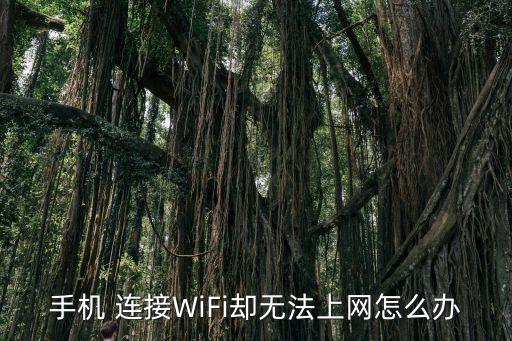 手機(jī) 連接WiFi卻無(wú)法上網(wǎng)怎么辦