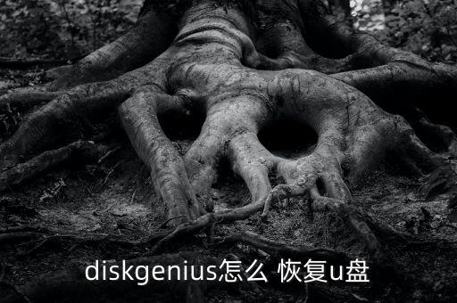 u盤數(shù)據(jù)恢復(fù)精靈