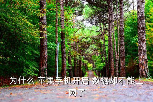 為什么 蘋果手機(jī)開啟 數(shù)據(jù)卻不能上網(wǎng)了