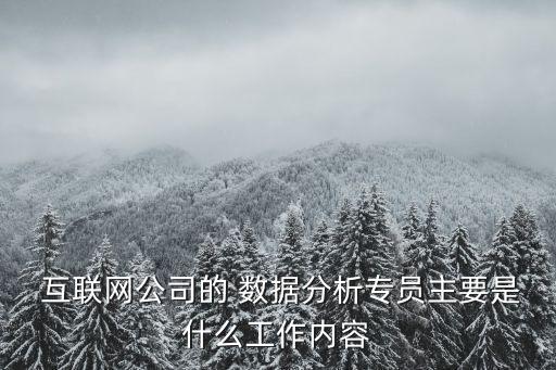  互聯(lián)網(wǎng)公司的 數(shù)據(jù)分析專員主要是什么工作內(nèi)容