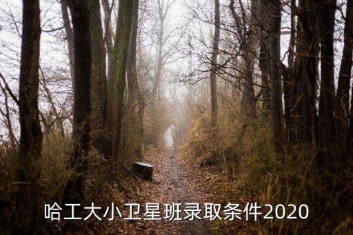 哈工大小衛(wèi)星班錄取條件2020