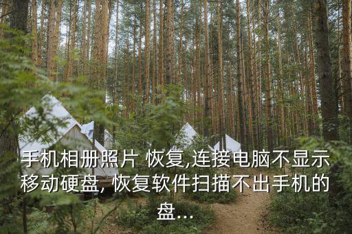 手機相冊照片 恢復,連接電腦不顯示移動硬盤, 恢復軟件掃描不出手機的盤...