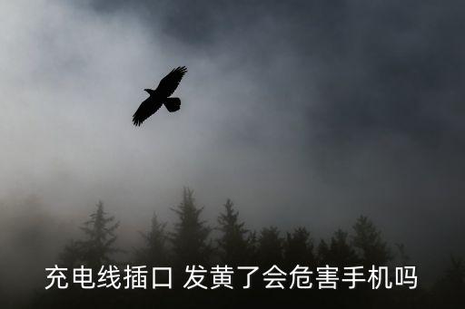 充電線插口 發(fā)黃了會(huì)危害手機(jī)嗎