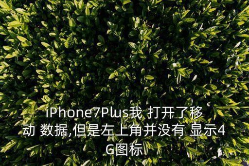 iPhone7Plus我 打開(kāi)了移動(dòng) 數(shù)據(jù),但是左上角并沒(méi)有 顯示4G圖標(biāo)
