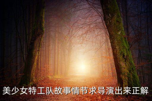 美少女特工隊(duì)故事情節(jié)求導(dǎo)演出來正解