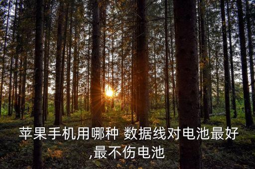  蘋果手機用哪種 數(shù)據(jù)線對電池最好,最不傷電池