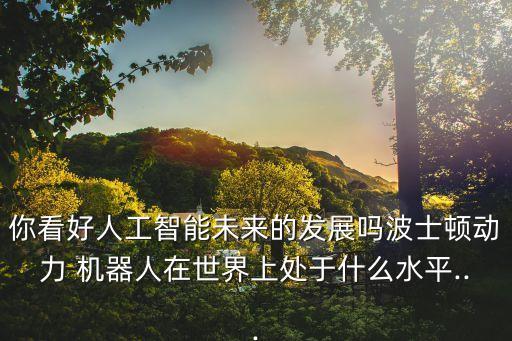 你看好人工智能未來的發(fā)展嗎波士頓動力 機器人在世界上處于什么水平...