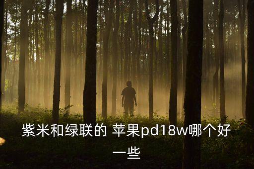 紫米和綠聯(lián)的 蘋果pd18w哪個好一些