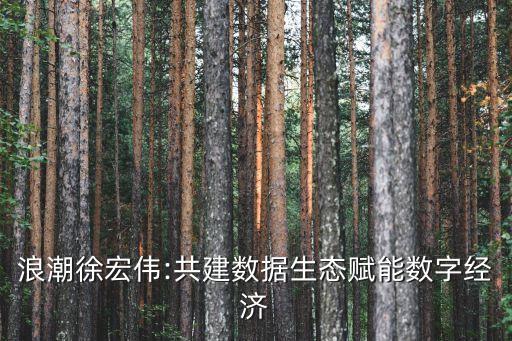 浪潮徐宏偉:共建數(shù)據(jù)生態(tài)賦能數(shù)字經(jīng)濟(jì)