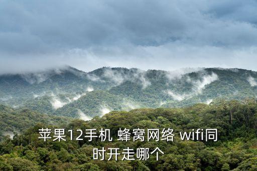 蜂窩數(shù)據(jù)和wifi