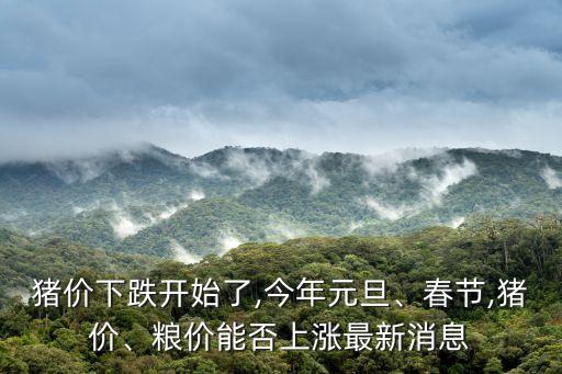 豬價下跌開始了,今年元旦、春節(jié),豬價、糧價能否上漲最新消息