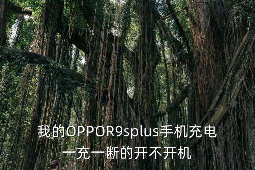 我的OPPOR9splus手機(jī)充電一充一斷的開不開機(jī)