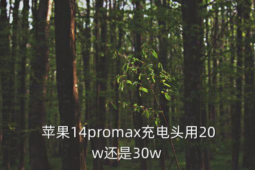  蘋果14promax充電頭用20w還是30w
