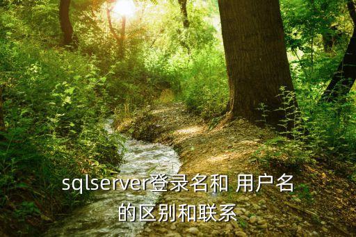 SQL數(shù)據(jù)庫的特殊用戶,sql數(shù)據(jù)庫入門基礎(chǔ)知識