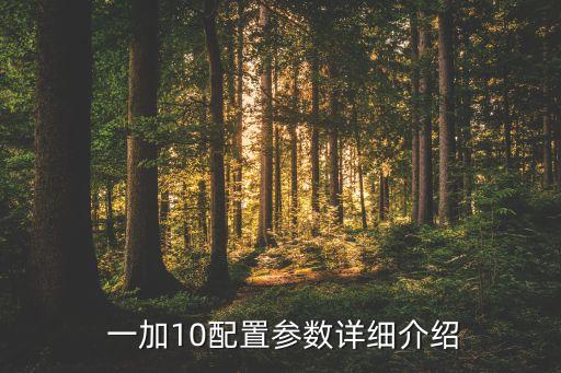  一加10配置參數(shù)詳細(xì)介紹