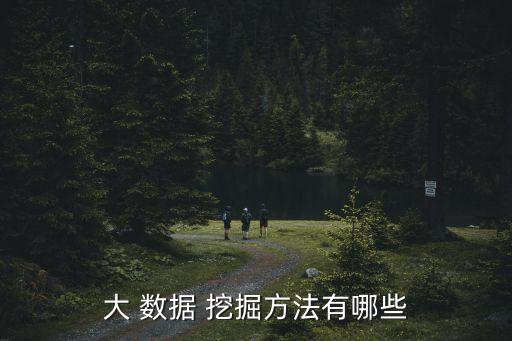 大 數(shù)據(jù) 挖掘方法有哪些