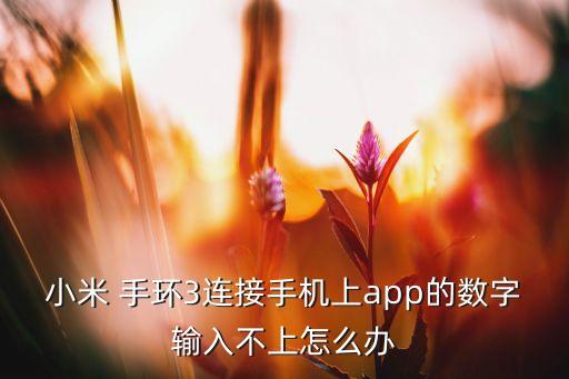 nike手環(huán)回傳數(shù)據(jù)錯誤