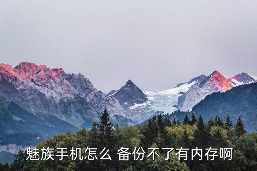  魅族手機(jī)怎么 備份不了有內(nèi)存啊
