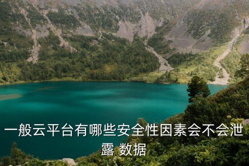 一般云平臺(tái)有哪些安全性因素會(huì)不會(huì)泄露 數(shù)據(jù)