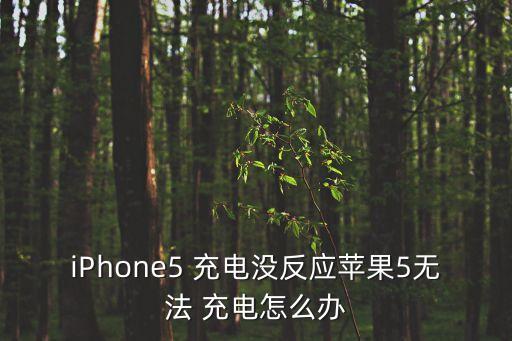 iPhone5 充電沒反應(yīng)蘋果5無法 充電怎么辦