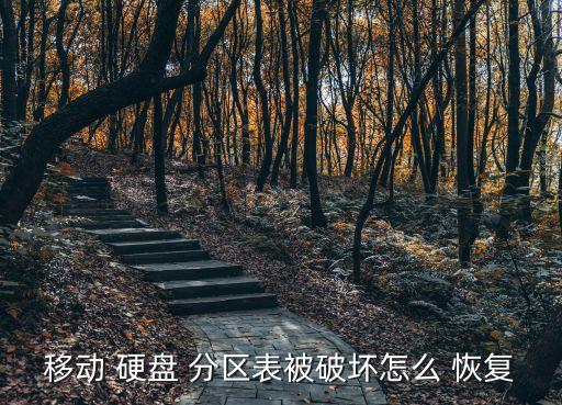 恢復(fù)硬盤(pán)分區(qū)數(shù)據(jù),diskgenius恢復(fù)硬盤(pán)分區(qū)數(shù)據(jù)