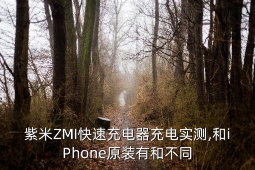 紫米ZMI快速充電器充電實測,和iPhone原裝有和不同
