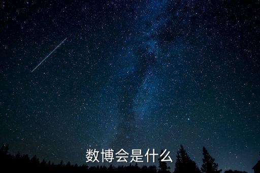 數(shù)博會(huì)是什么