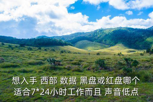 想入手 西部 數(shù)據(jù) 黑盤或紅盤哪個適合7*24小時工作而且 聲音低點