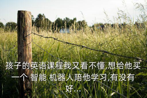 孩子的英語課程我又看不懂,想給他買一個(gè) 智能 機(jī)器人陪他學(xué)習(xí),有沒有好...