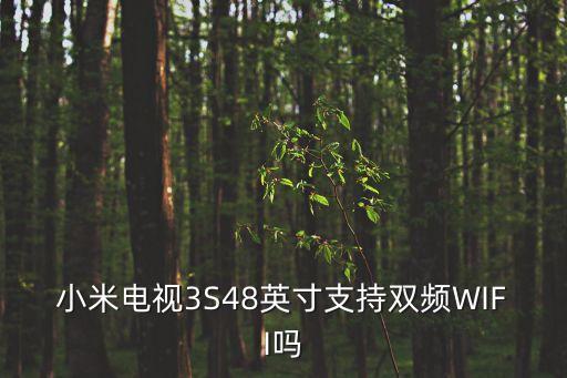 3s 大數(shù)據(jù)技術(shù)