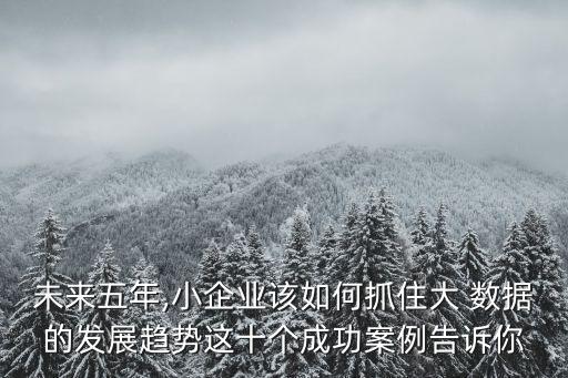未來五年,小企業(yè)該如何抓住大 數(shù)據(jù)的發(fā)展趨勢這十個成功案例告訴你