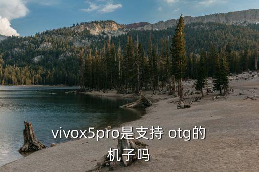 pro5 otg數(shù)據(jù)線,什么是oTG數(shù)據(jù)線