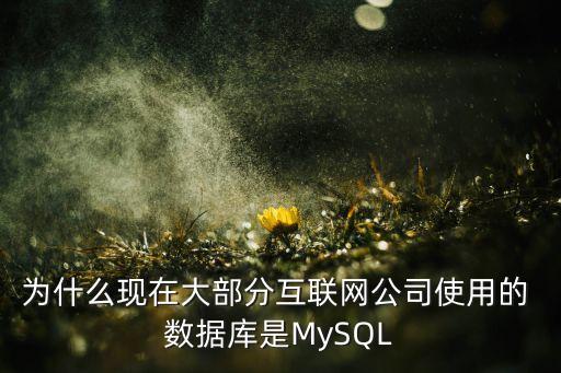 為什么現(xiàn)在大部分互聯(lián)網(wǎng)公司使用的 數(shù)據(jù)庫是MySQL