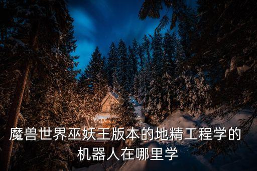 魔獸世界巫妖王版本的地精工程學的 機器人在哪里學