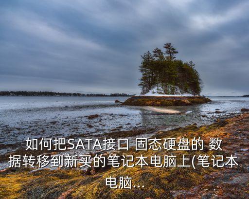 如何把SATA接口 固態(tài)硬盤(pán)的 數(shù)據(jù)轉(zhuǎn)移到新買(mǎi)的筆記本電腦上(筆記本電腦...