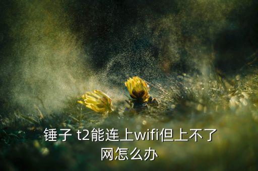  錘子 t2能連上wifi但上不了網(wǎng)怎么辦