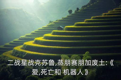 愛 性 機(jī)器人,性功能機(jī)器人功能怎么樣
