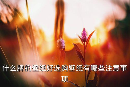 romo機(jī)器人在哪買