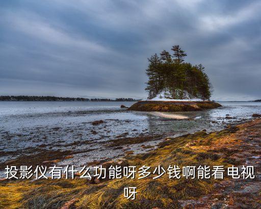 數據投影機多少錢,電影院專業(yè)投影機多少錢