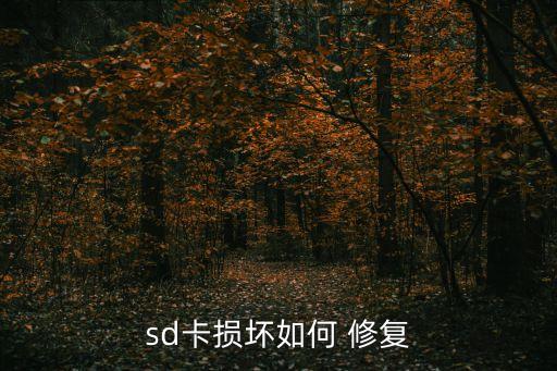 sd卡損壞如何 修復